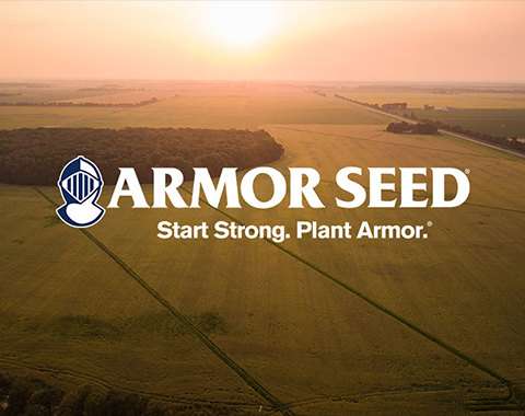 Armor Seed - Website Project