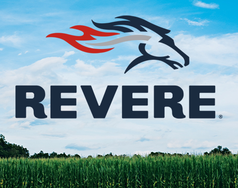 Revere - Website Design